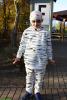 Klicken zum ansehen img_2477_t1.jpg